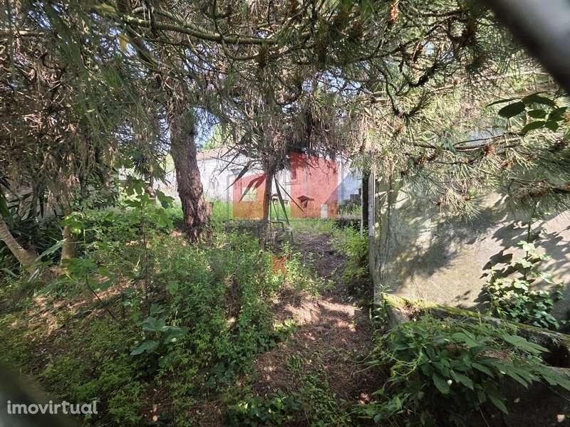 Moradia T2 inserida em lote de 2.600 m2 - Grande imagem: 3/3