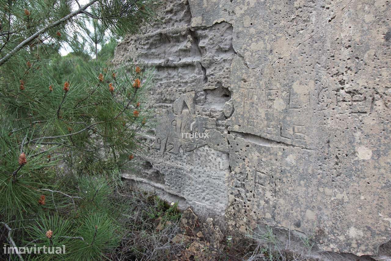 Herdade com 16,1500 ha, na zona da Lagoa de Melides, com viabilidade p - Grande imagem: 2/32