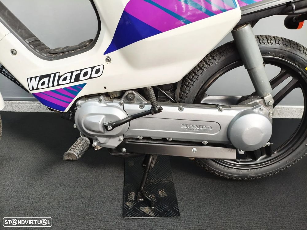 Honda 50 Wallaroo 50 - 21