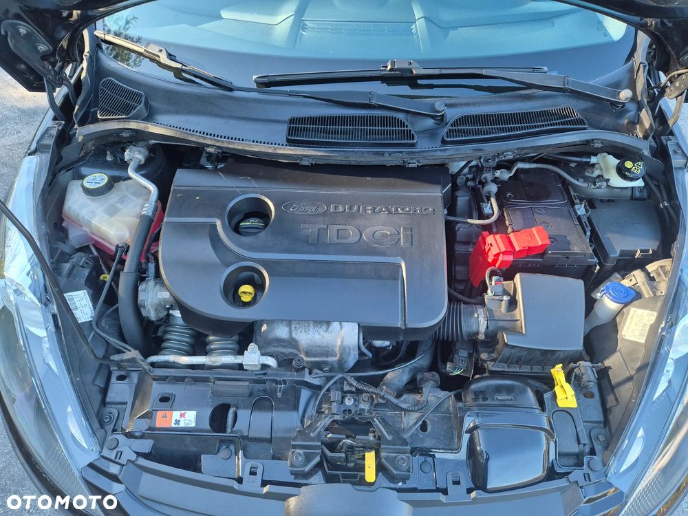 Ford Fiesta - 14