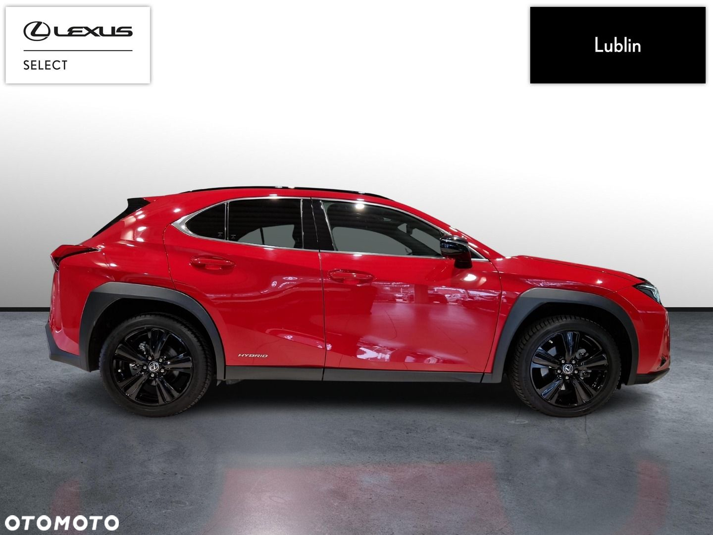 Lexus UX 250h GPF F Impression 2WD - 6
