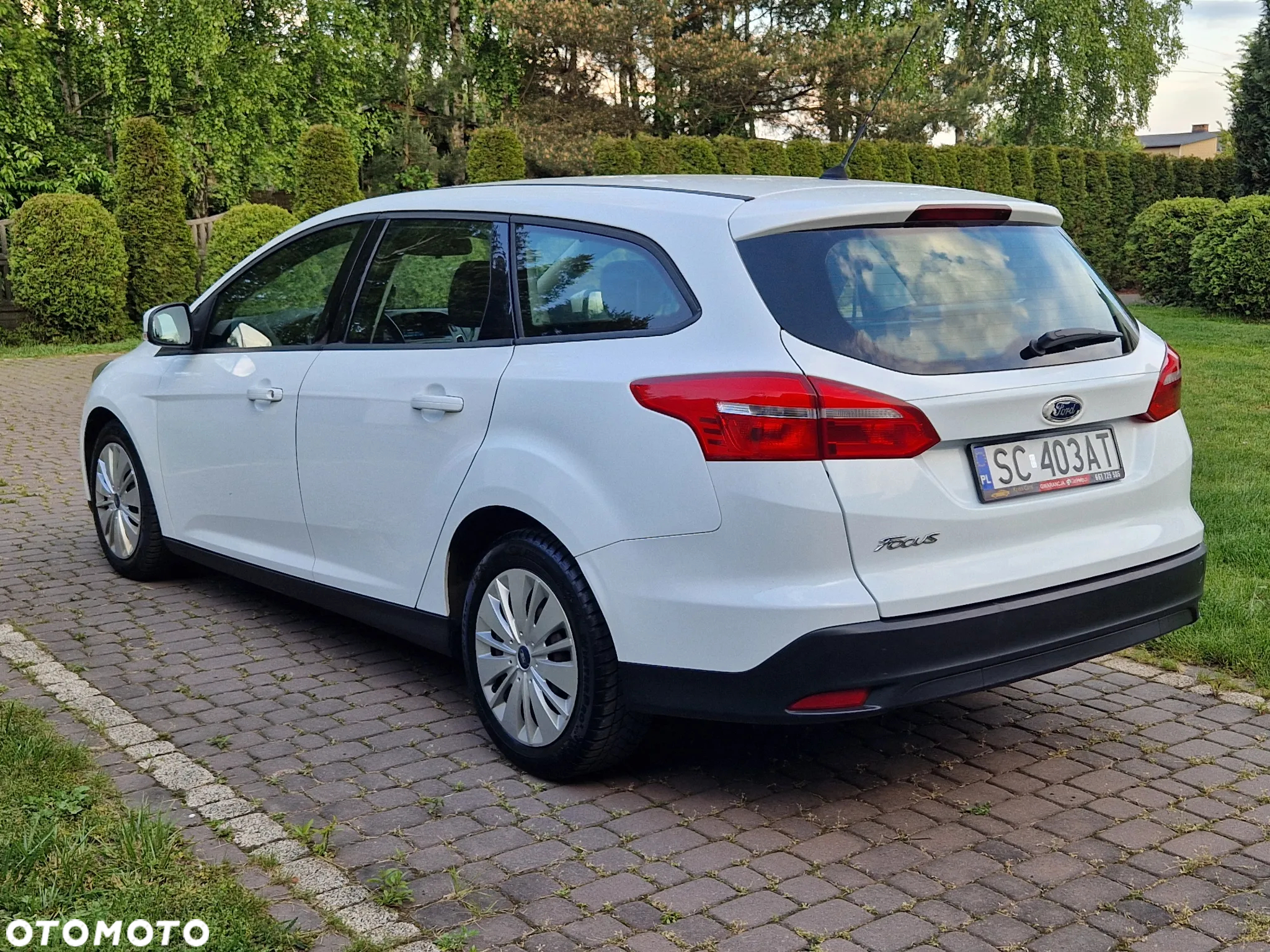 Ford Focus - 8