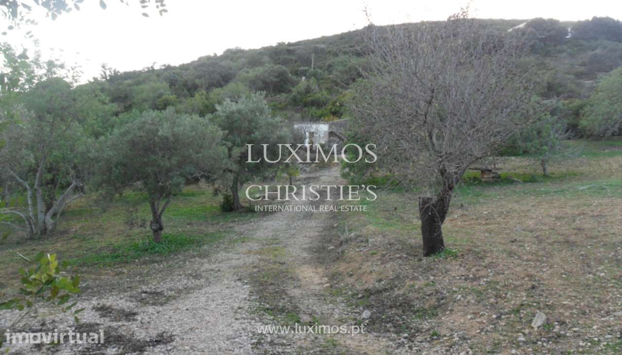 Terreno com projeto aprovado para venda em Estoi, Algarve - Grande imagem: 5/6