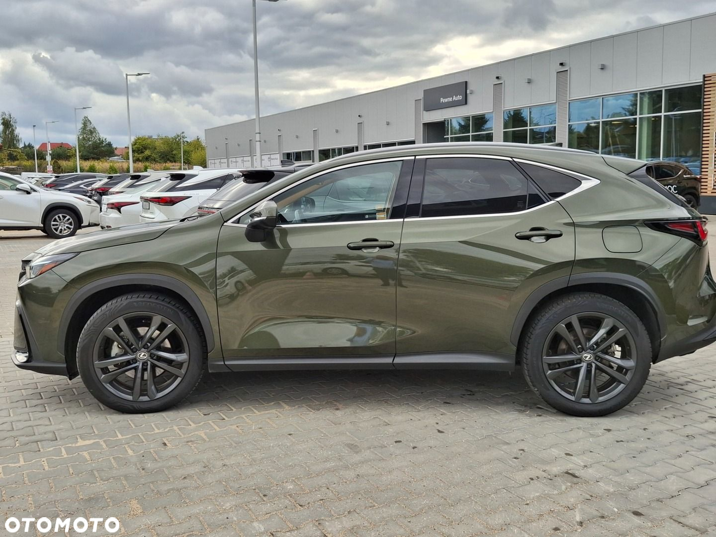 Lexus NX 350h Prestige AWD - 25