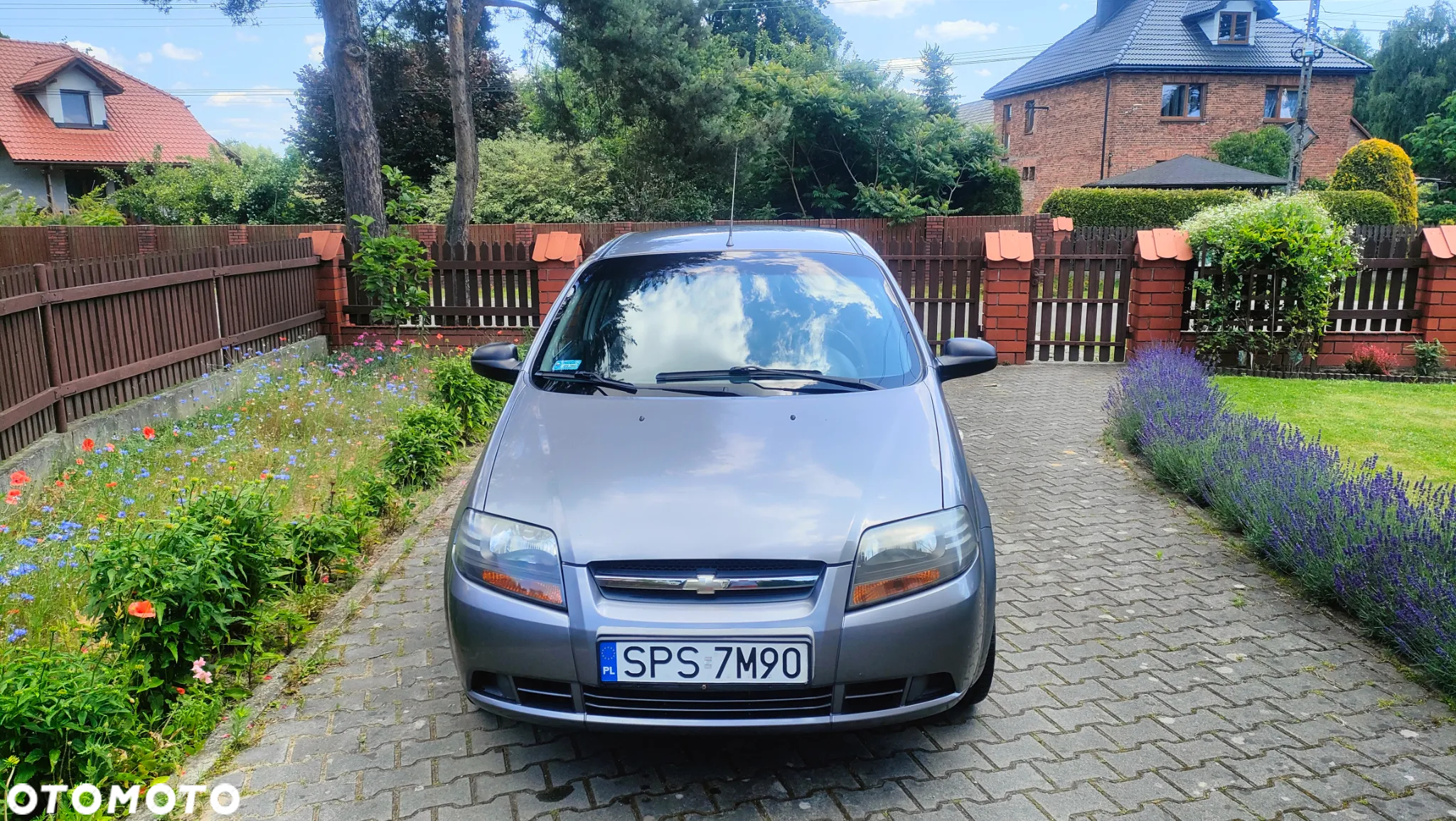 Chevrolet Aveo - 2