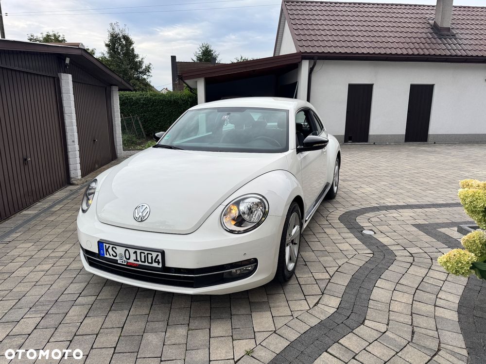Volkswagen Beetle - 11