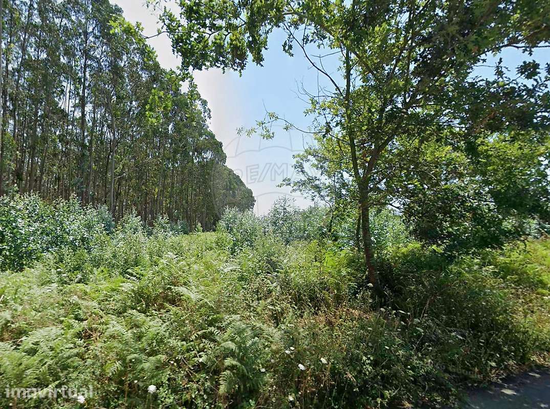 Terreno  para venda - Grande imagem: 2/3