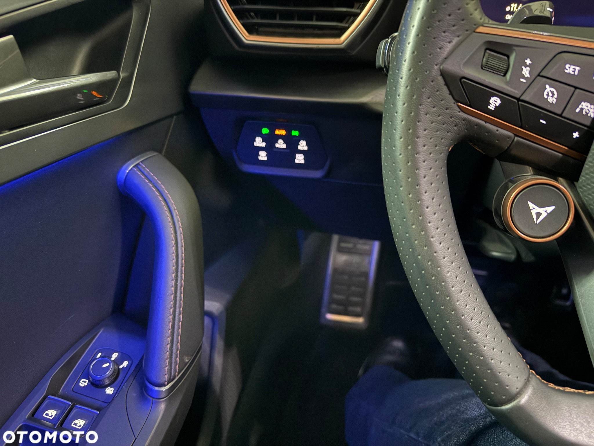 Cupra Formentor 2.0 TSI VZ DSG - 6