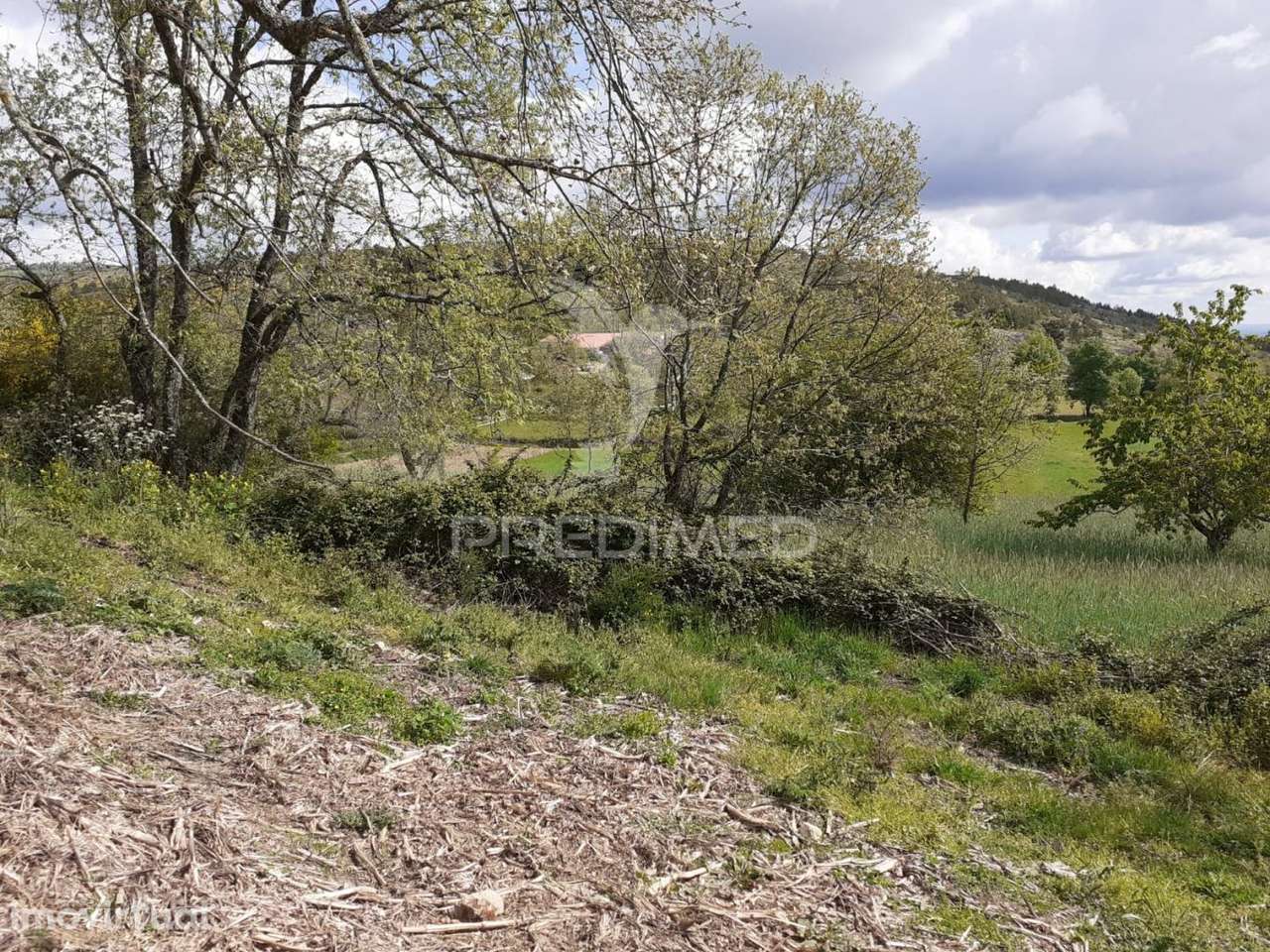 Quinta em local sossegado - Trancoso - Grande imagem: 3/14