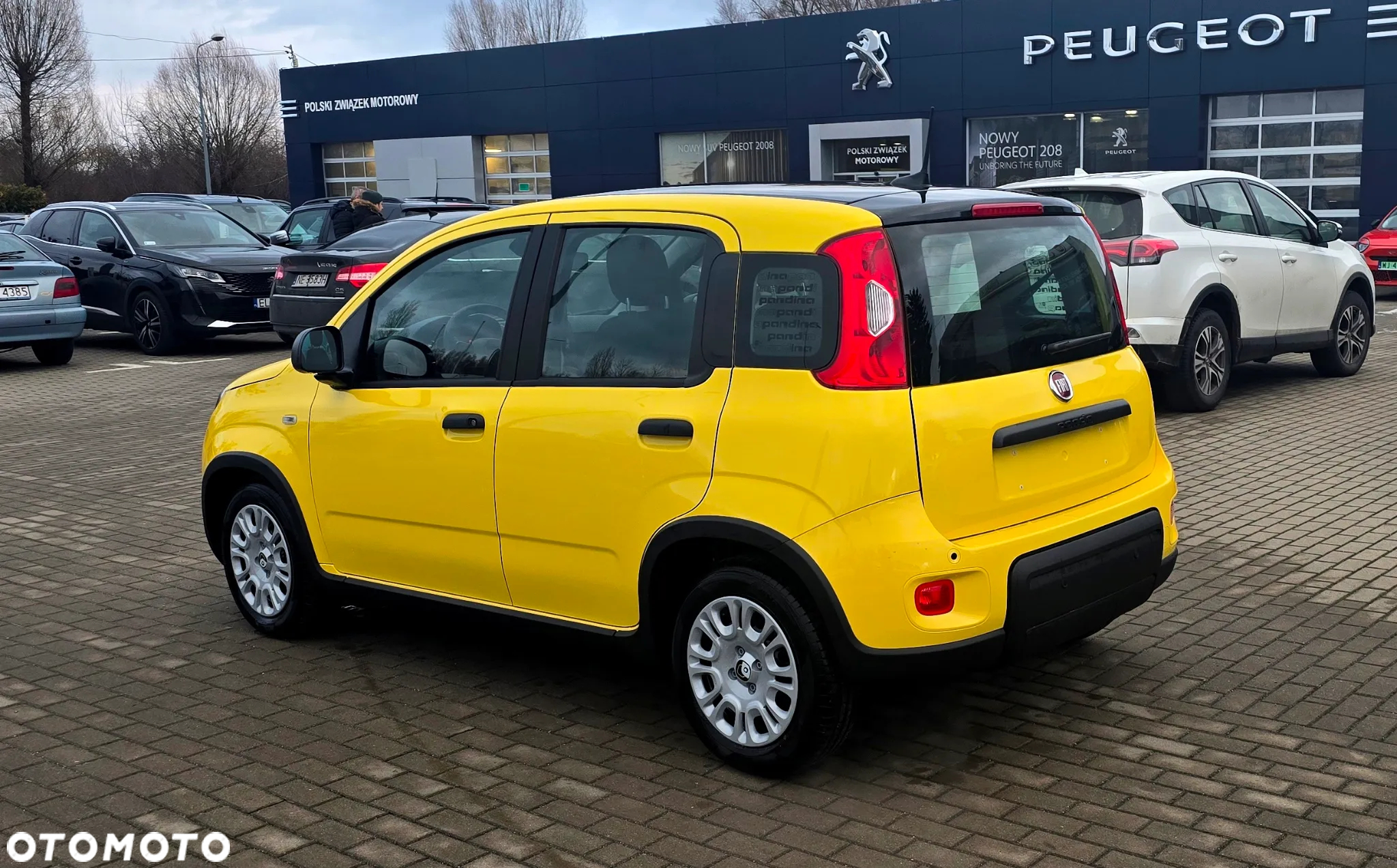 Fiat Panda - 3