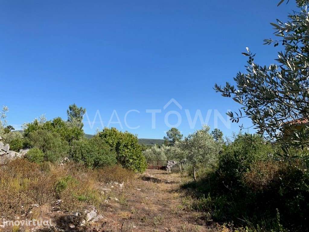 Construção de Moradia na Natureza - Grande imagem: 3/37