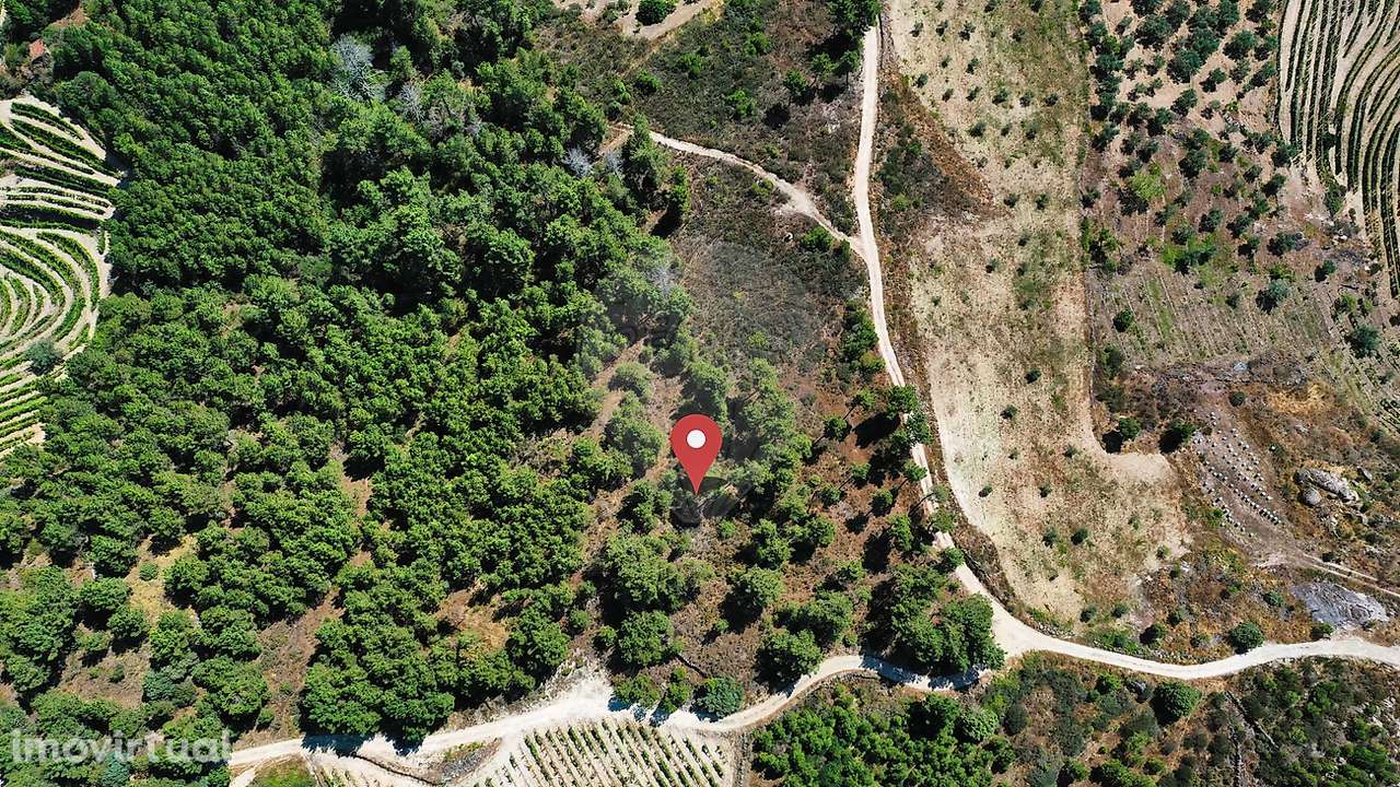 Terreno  para venda - Grande imagem: 2/5