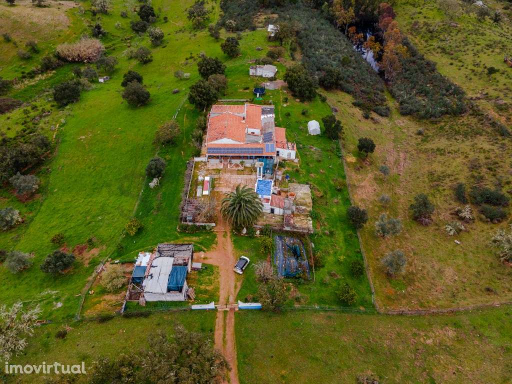 Quinta em Serpa com moradia T4 - Grande imagem: 2/30