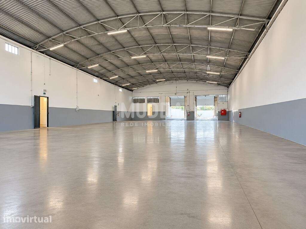 Armazém para Arrendamento | Zona Industrial de Cortegaça - Grande imagem: 4/13