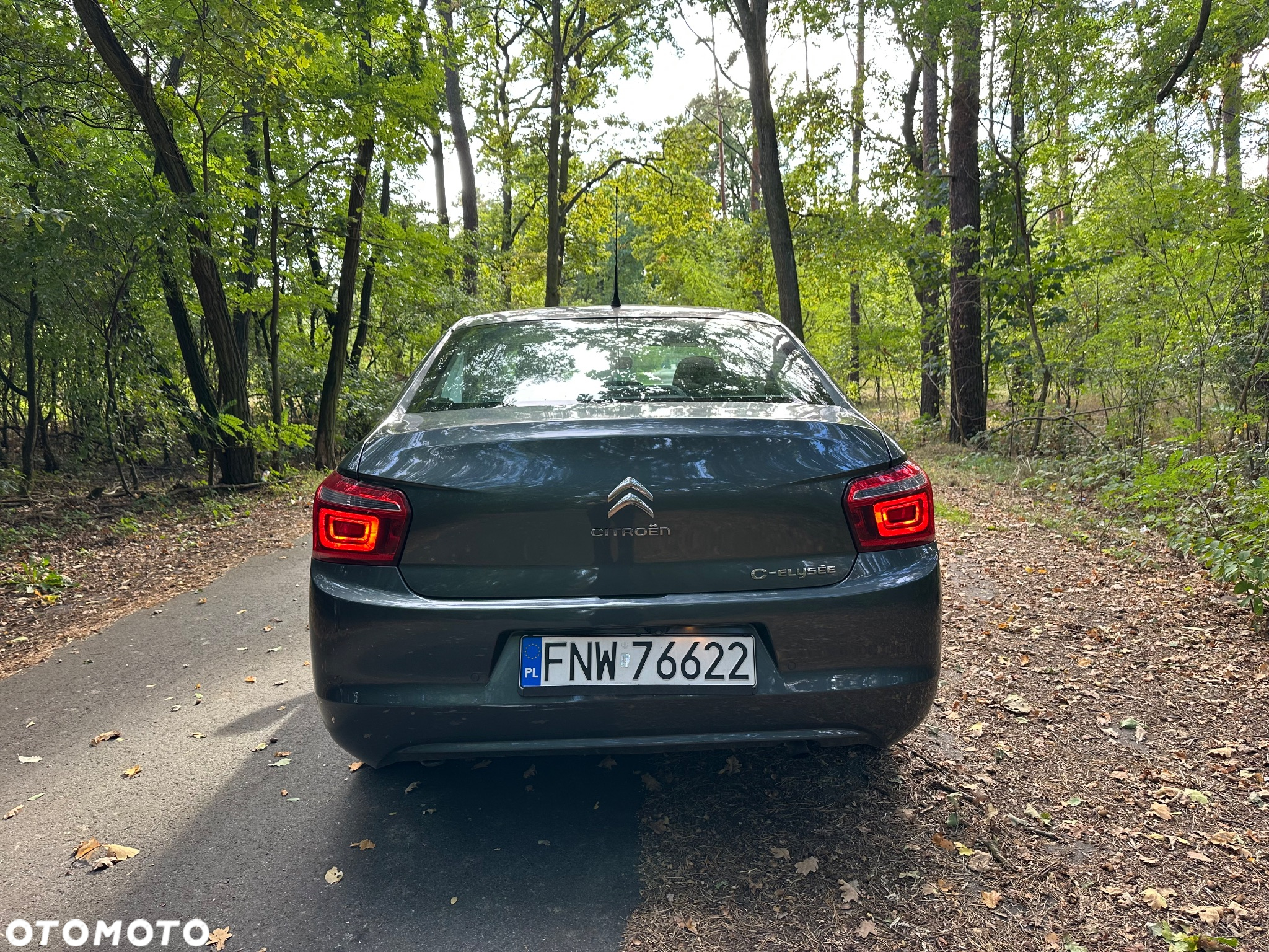 Citroën C-Elysée 1.2 PureTech Exclusive - 13