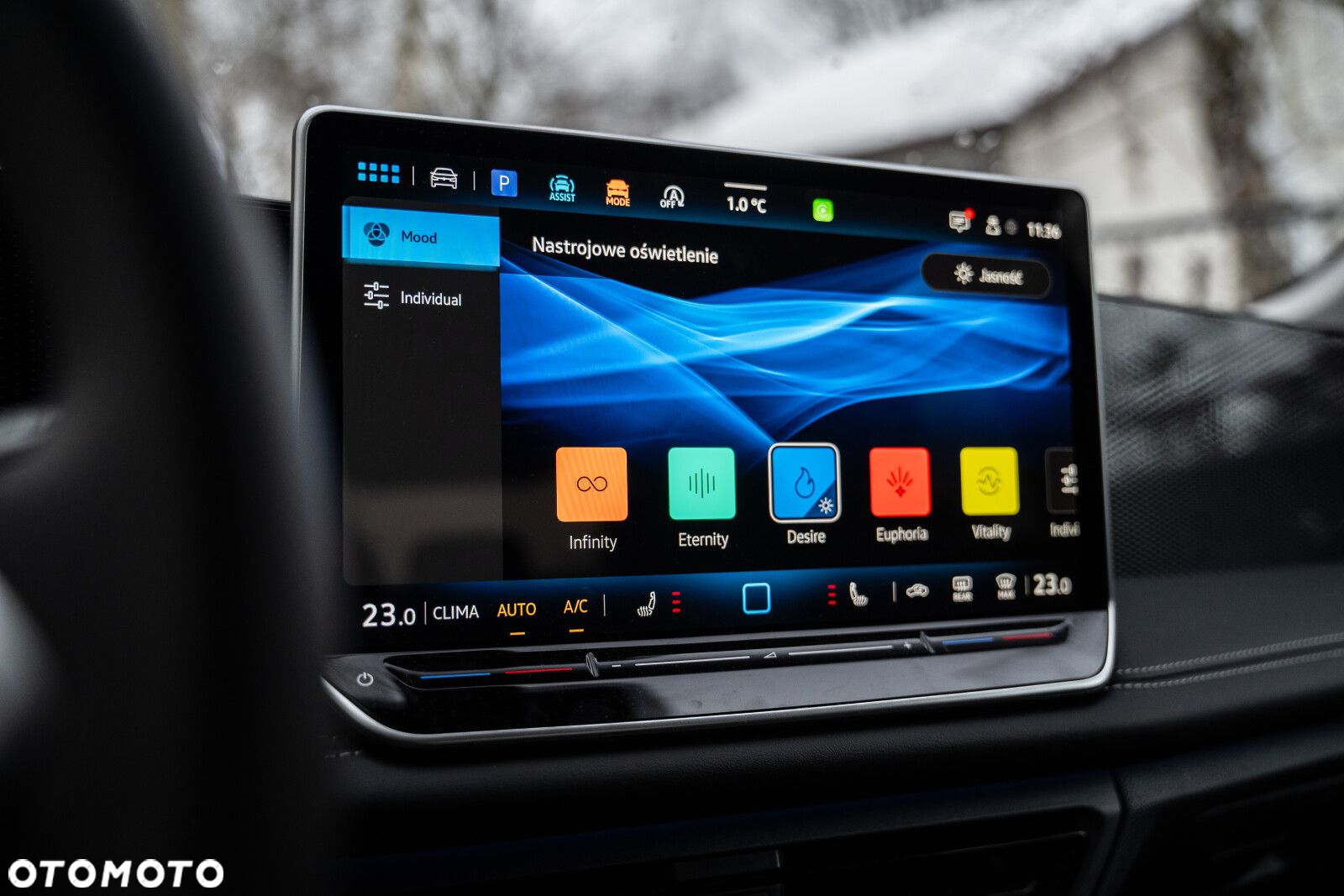 Volkswagen Tiguan - 29