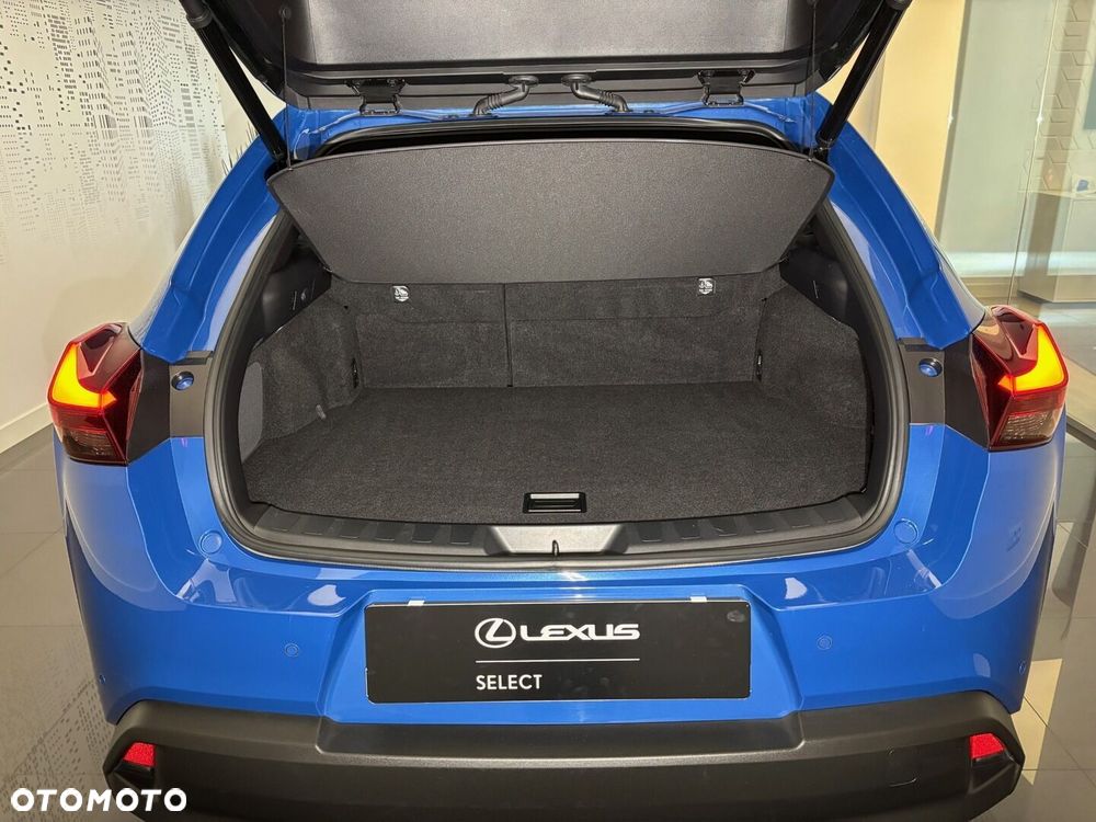 Lexus UX 250h GPF Prestige AWD - 9