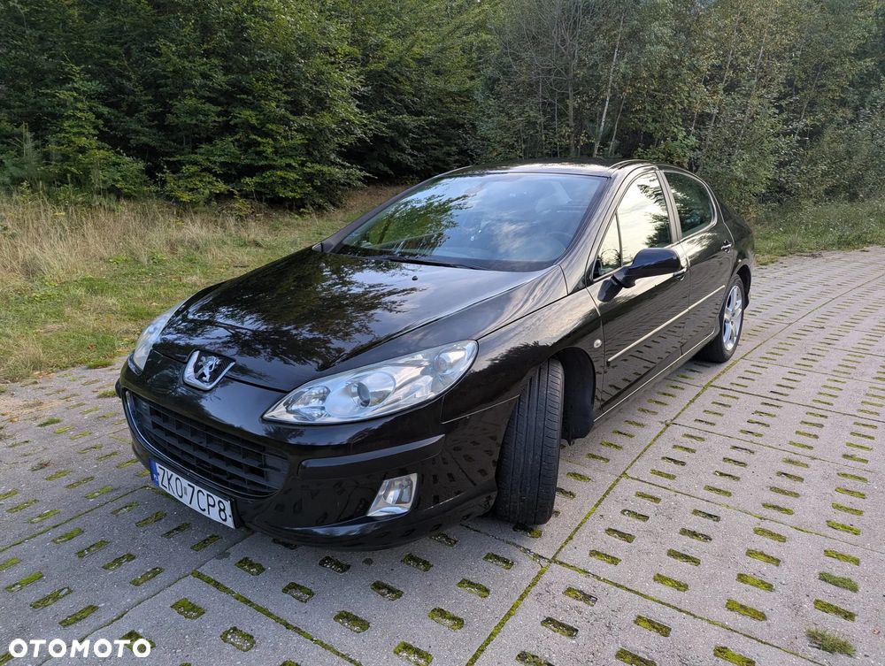 Peugeot 407 - 10