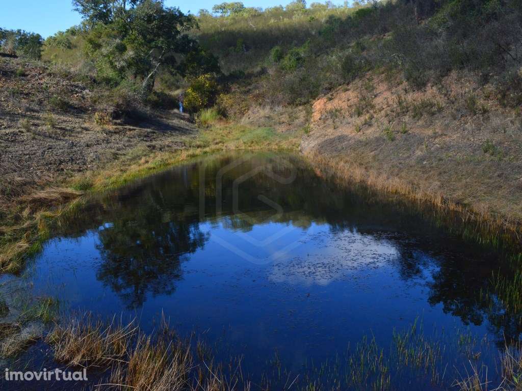 Terreno com duas ruínas registadas como artigos urbanos, Almodôvar,... - Grande imagem: 3/51