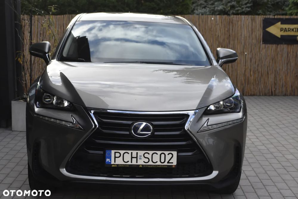 Lexus Nx 2017 photo 2