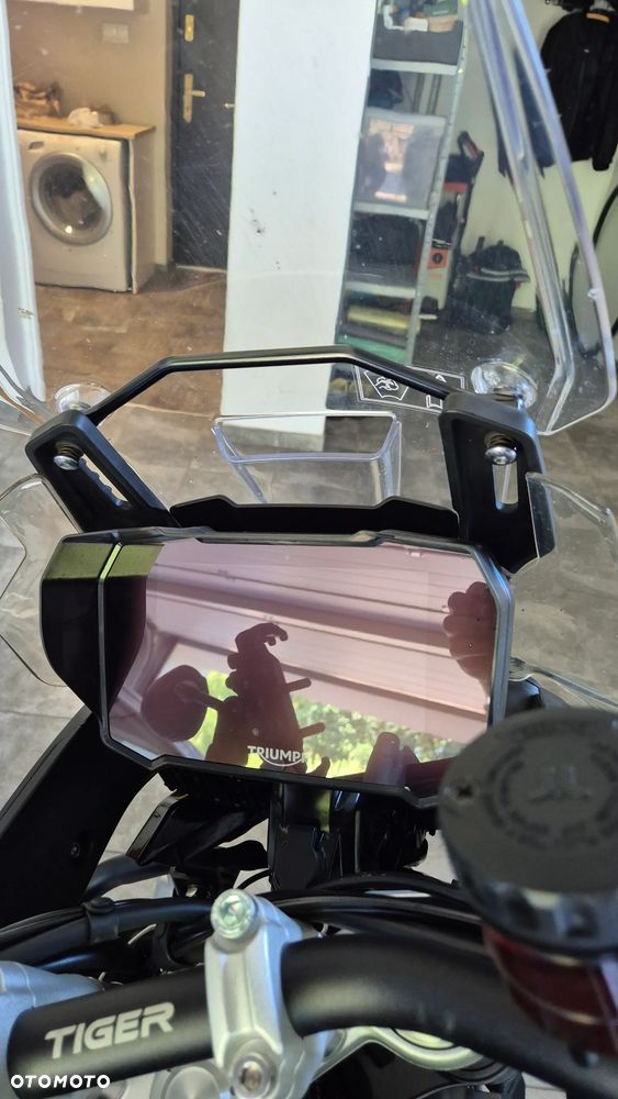Triumph Tiger - 6