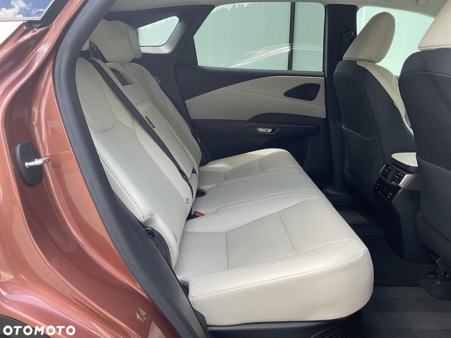 Lexus RX - 18