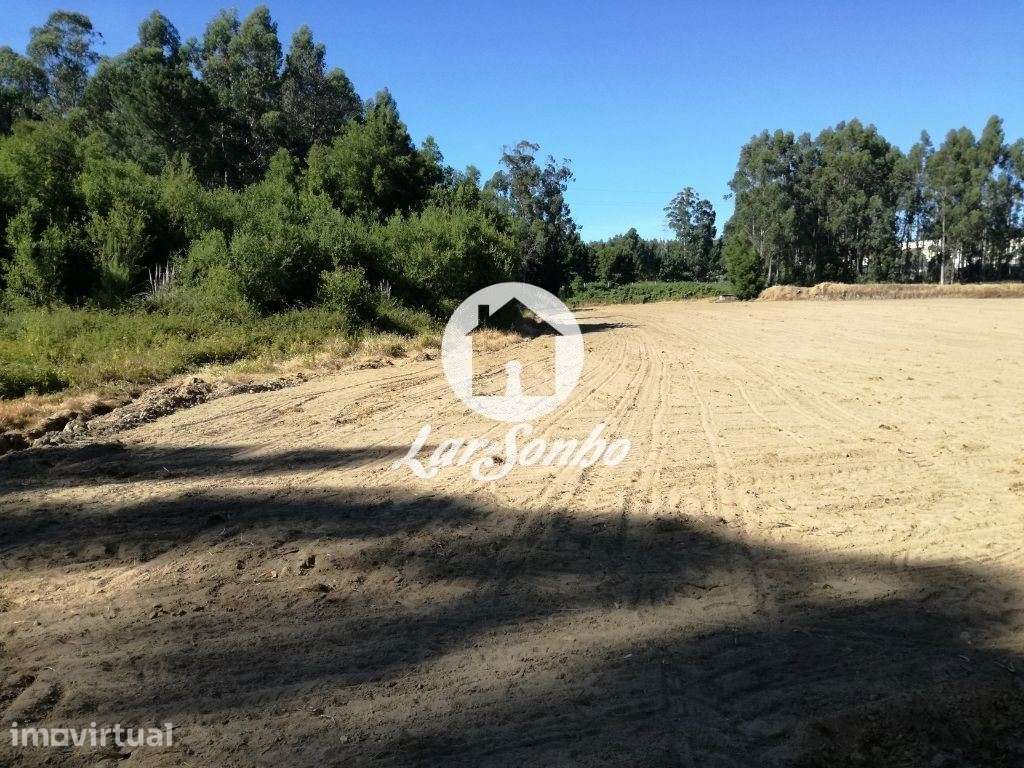 Loteamento para construção de 23.000€ em Gião - Vila do Conde - Grande imagem: 4/7