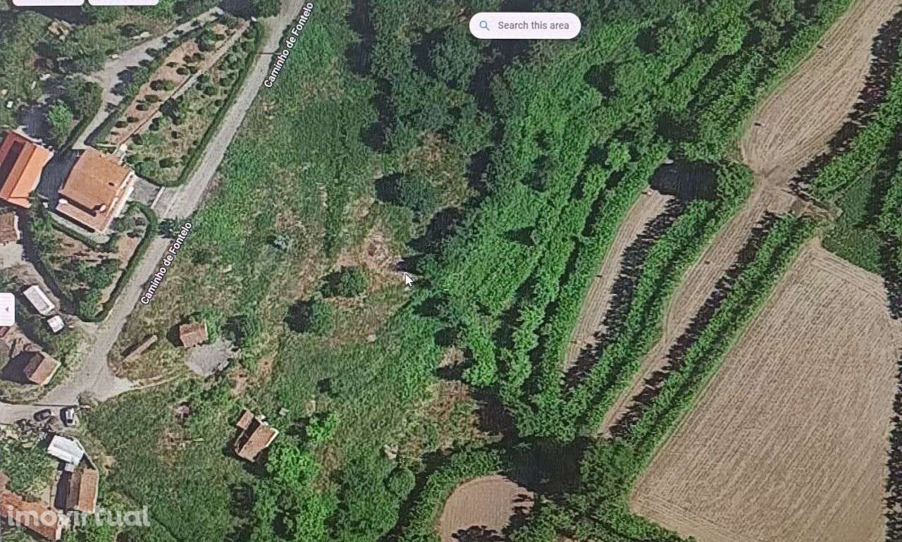 Vende-se Quinta ( EM AMARANTE ) FIGUEIRO - Grande imagem: 4/6