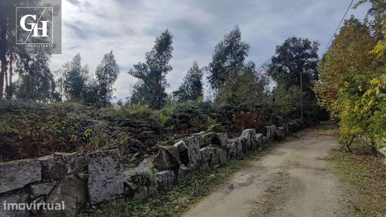 Terreno em Antas – 20.306 m² - Grande imagem: 5/13