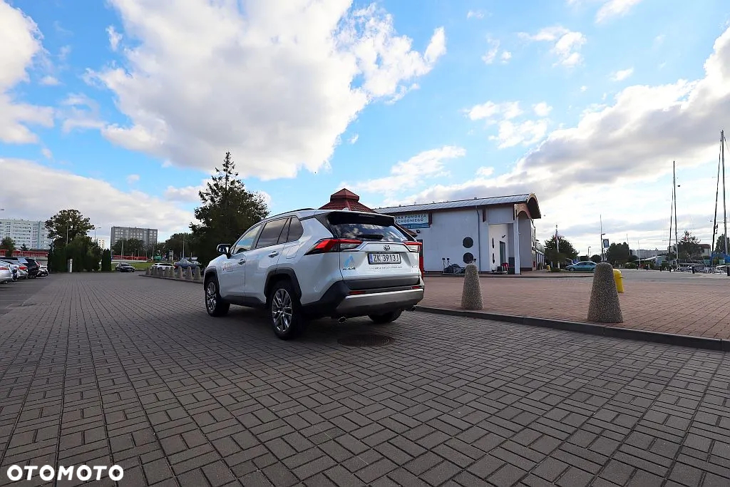 Toyota RAV4 2.5 Hybrid Executive 4x2 - 10
