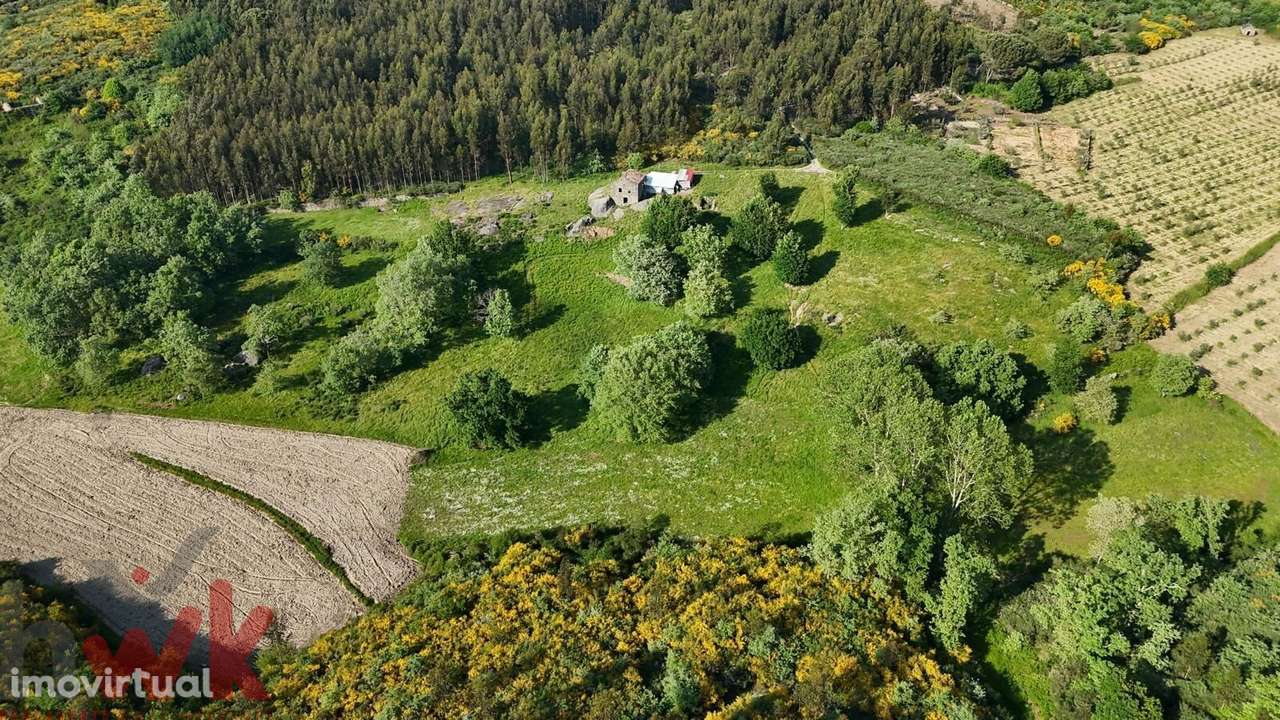 Quinta com 5.4 hectares | Ruína e Açude - Grande imagem: 2/20