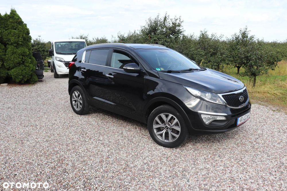 Kia Sportage 1.6 GDI Business Line L 2WD - 16