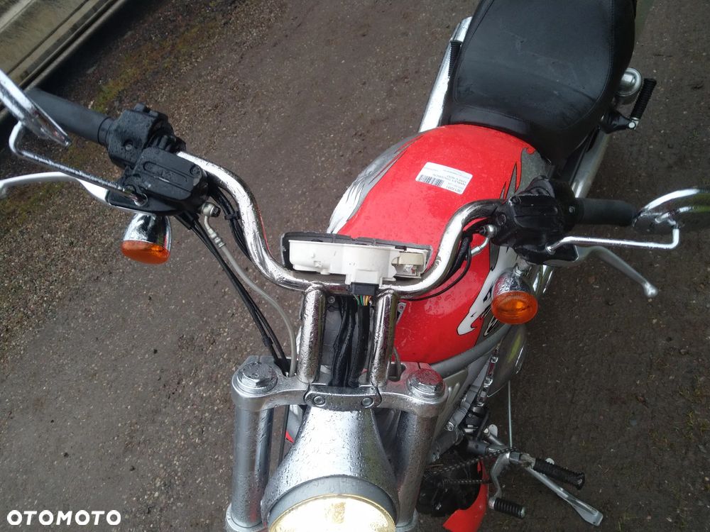 Harley-Davidson Softail V-Rod - 4