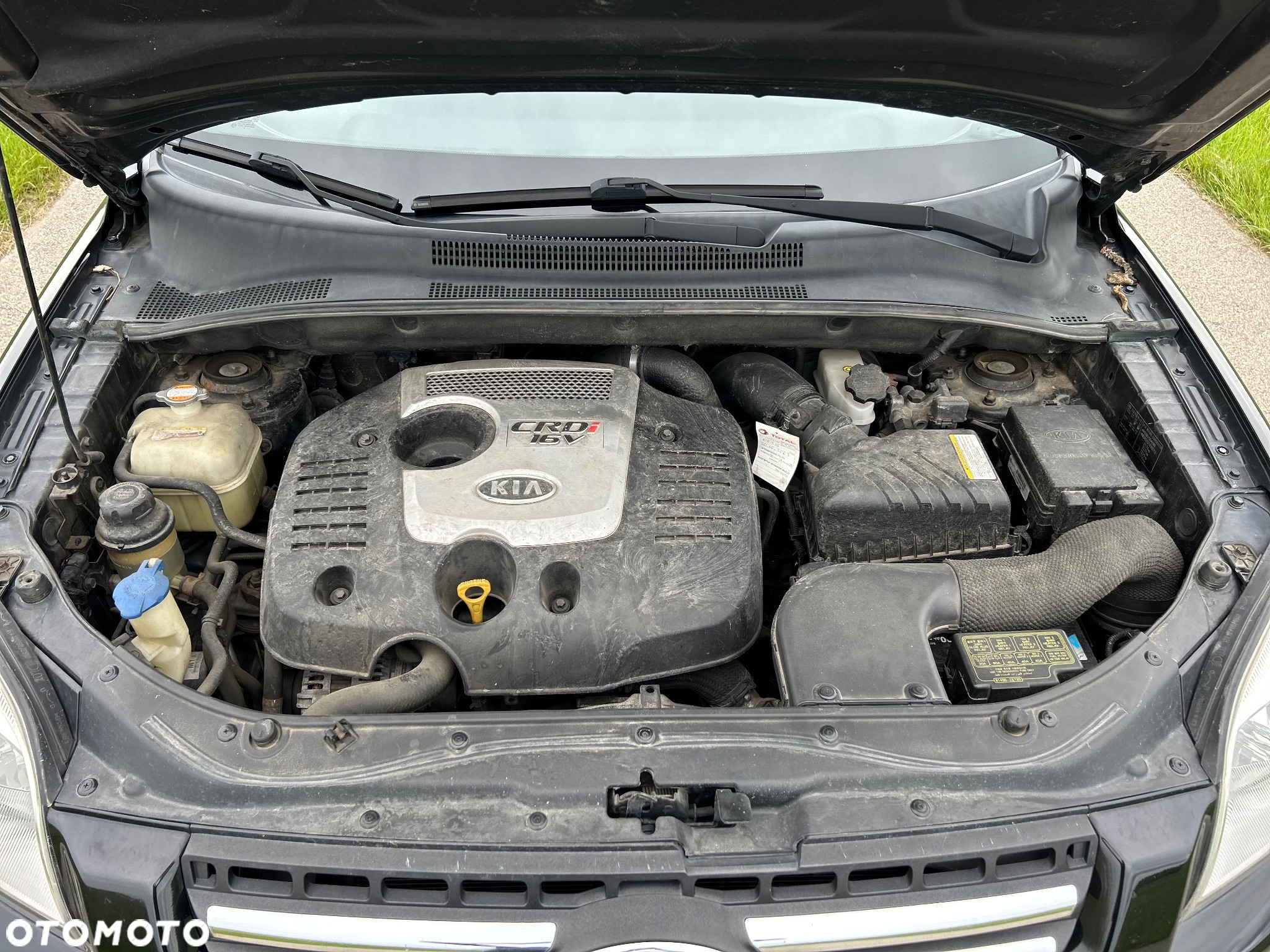 Kia Sportage - 15
