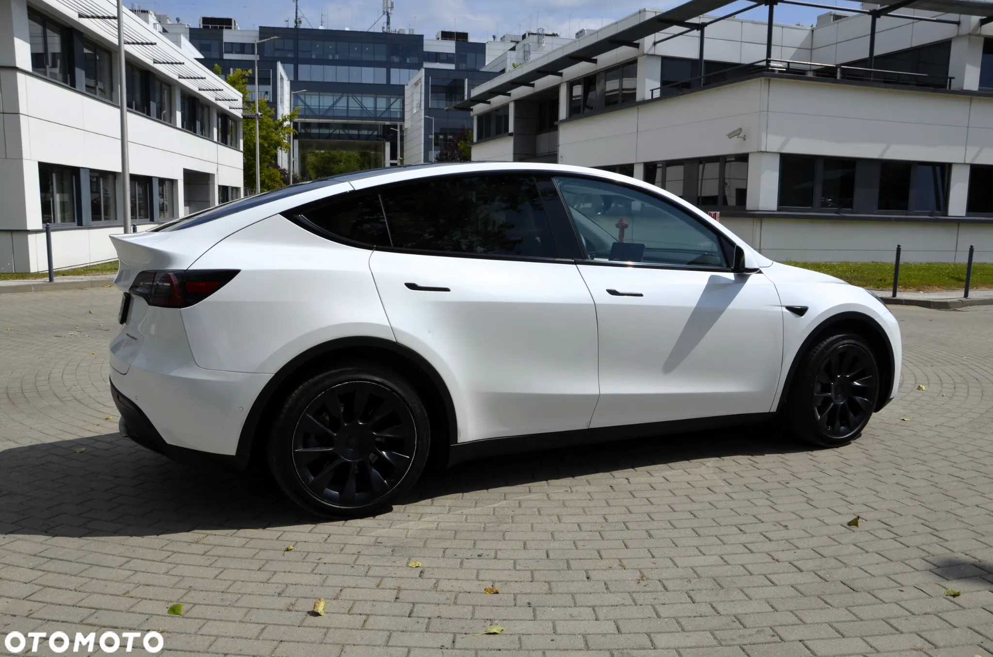 Tesla Y RWD - 7