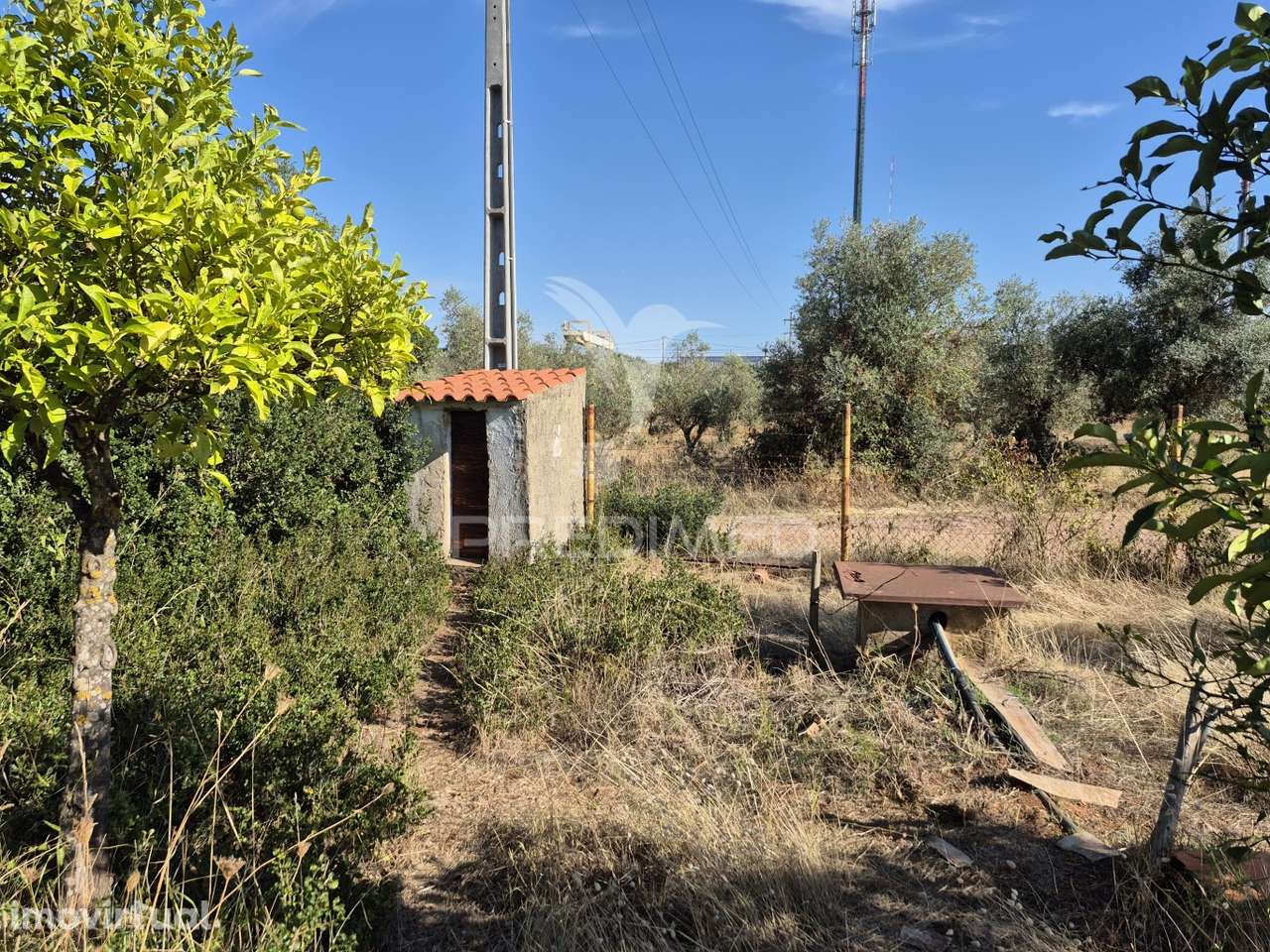 Terreno Rustico - Grande imagem: 3/39