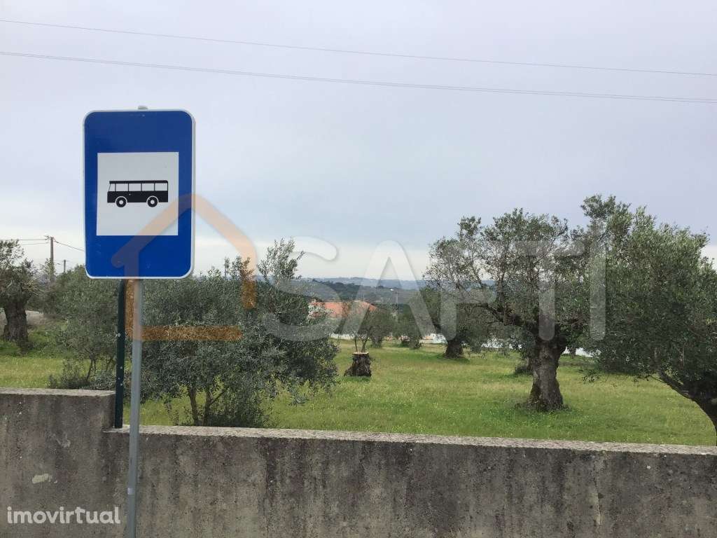 Venda - Terreno para construção. 685 m2 Pedrogão - Torres Novas - Grande imagem: 5/6