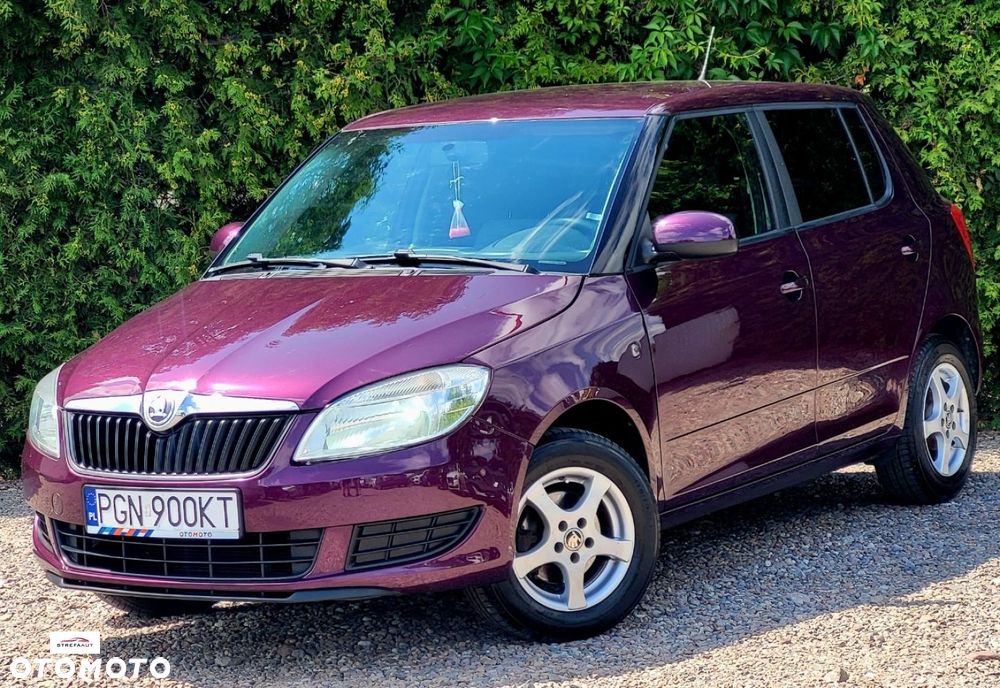Skoda Fabia - 25