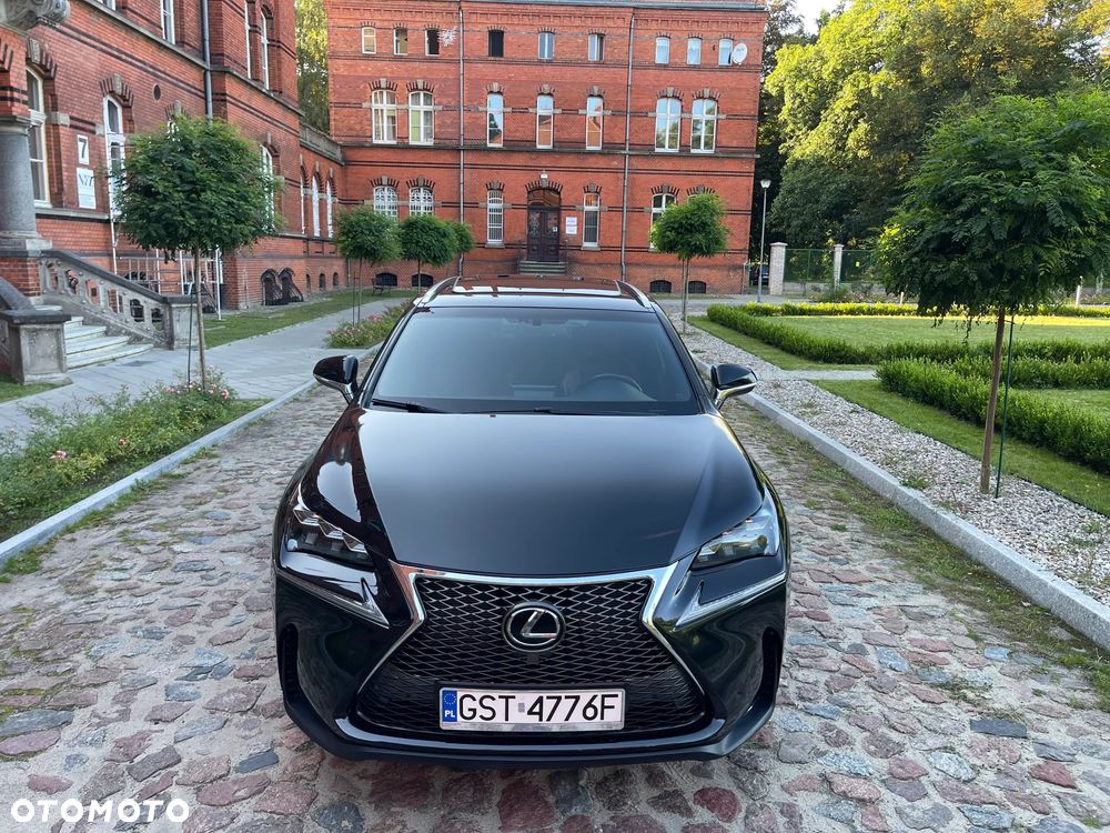 Lexus NX - 7