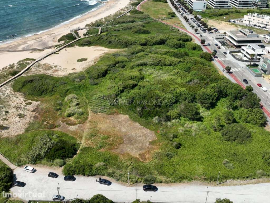 Terreno com 8.250m2 e vista mar, na Madalena. - Grande imagem: 2/15