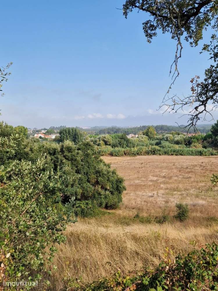 Terrenos Agricolas em Ribeira de São João - Rio Maior, 8440m² - Grande imagem: 2/3