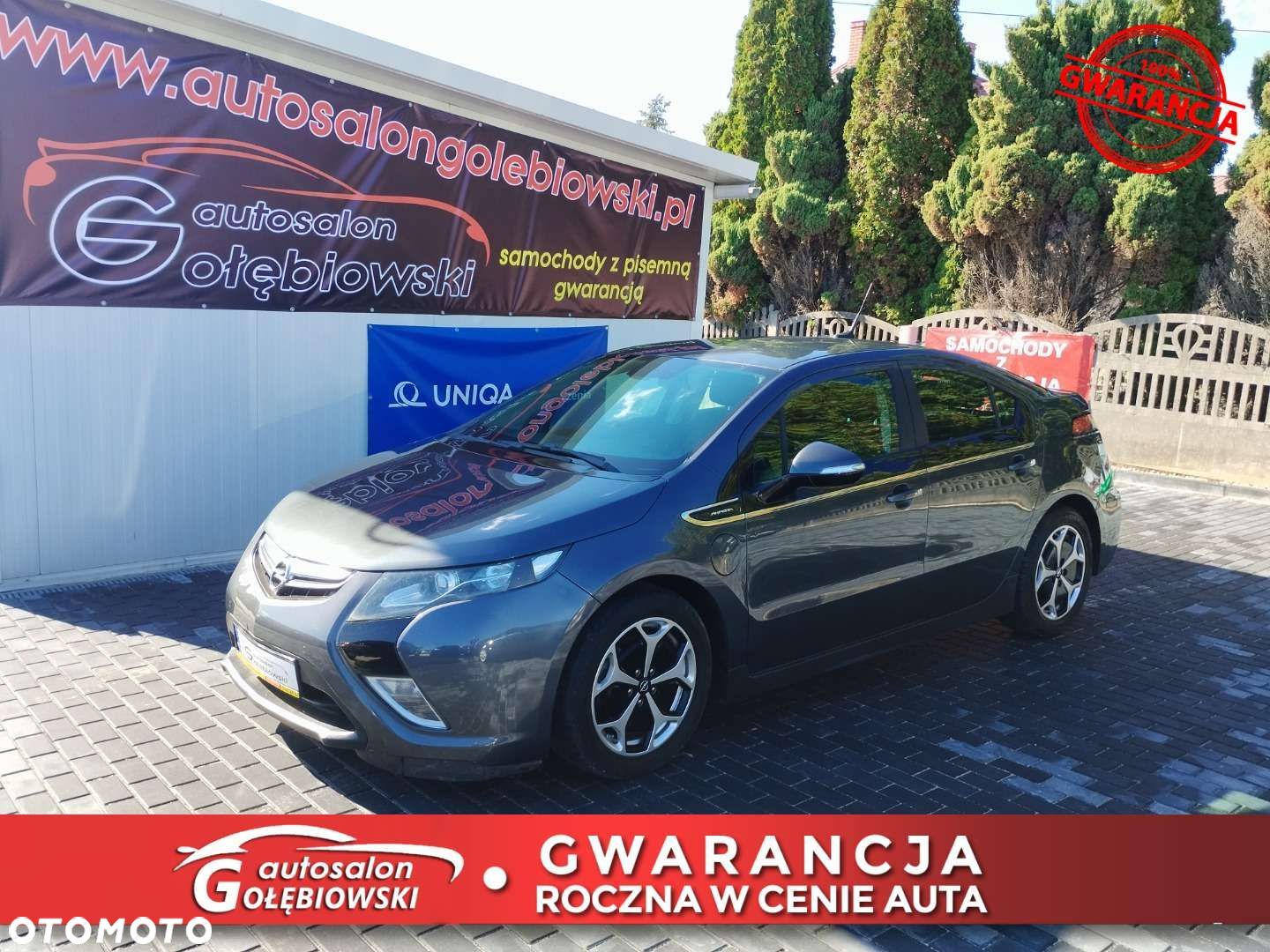 Opel Ampera - 1