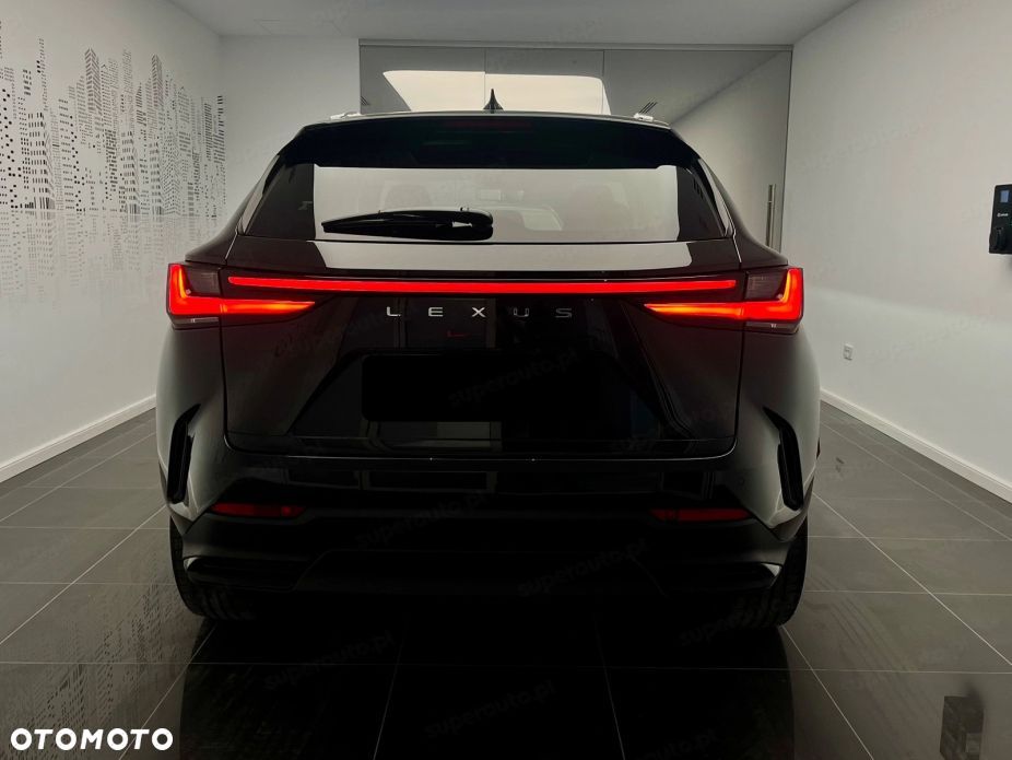 Lexus NX - 6