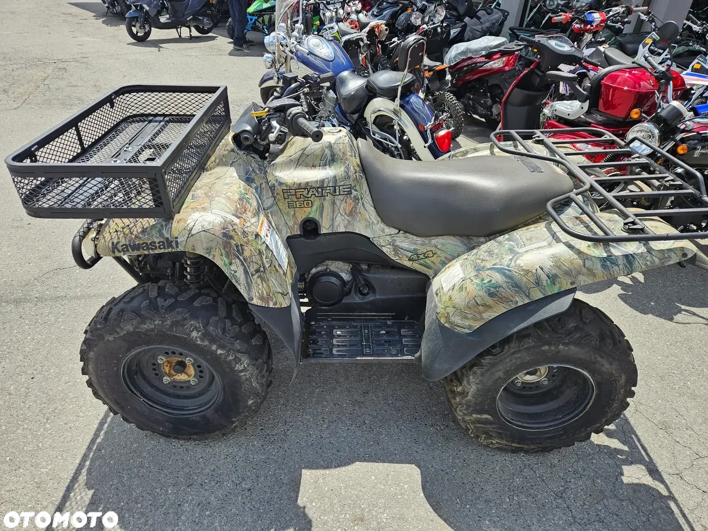 Kawasaki Brute Force - 10