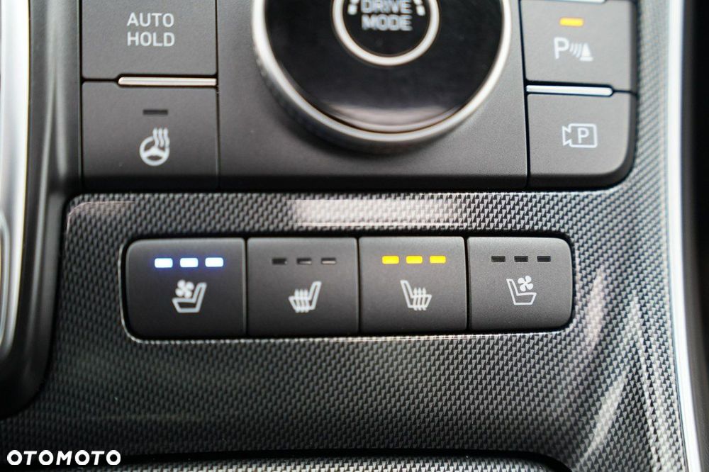 Hyundai Santa Fe - 26