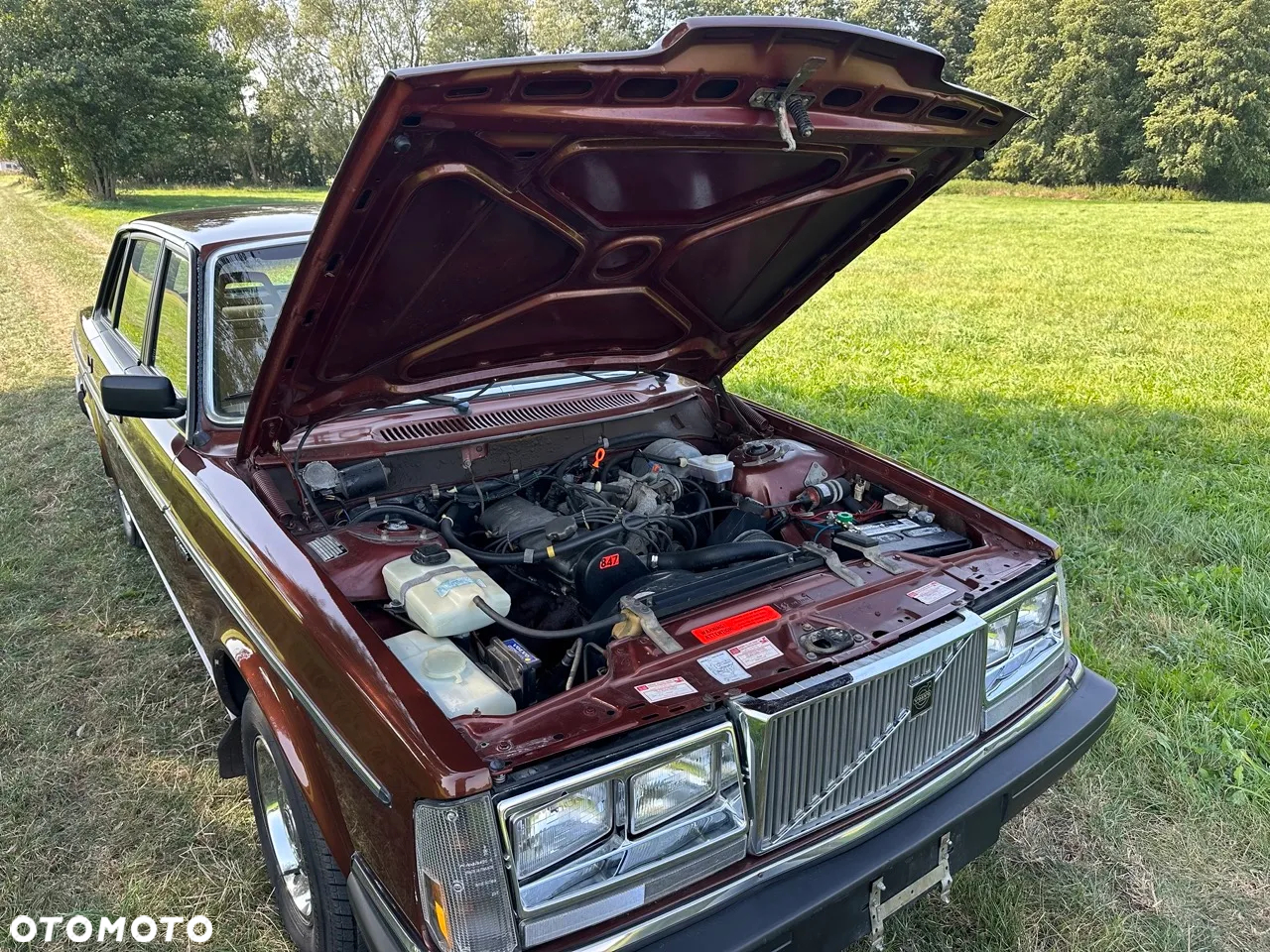 Volvo Seria 200 - 27