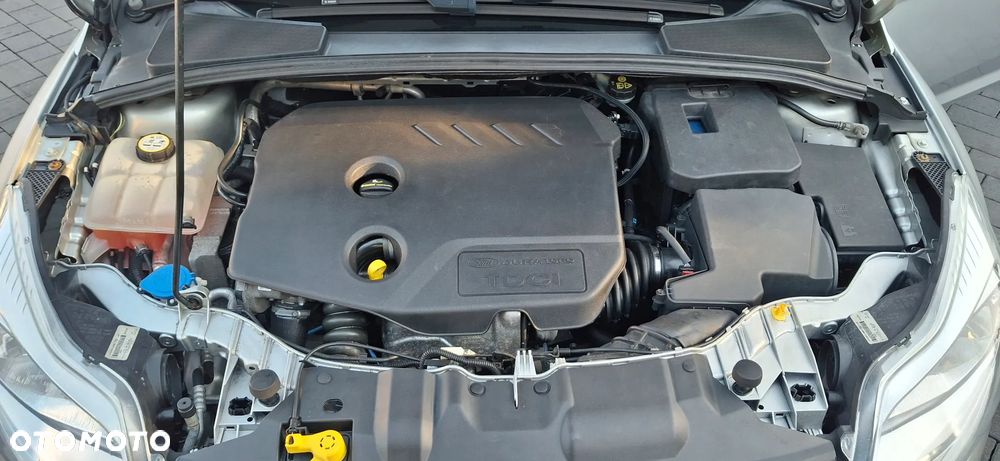 Ford Focus - 6