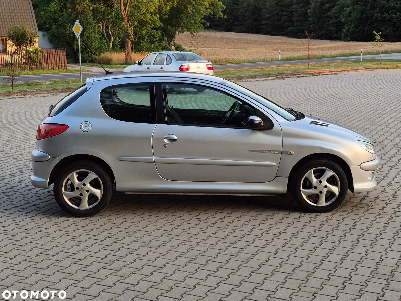 Peugeot 206 1.6 Quiksilver - 13