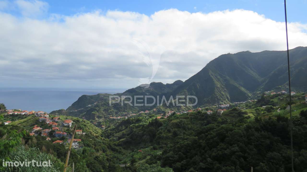 TERRENO E PALHEIRO NO PORTO DA CRUZ COM 3.740M2 - Grande imagem: 3/6