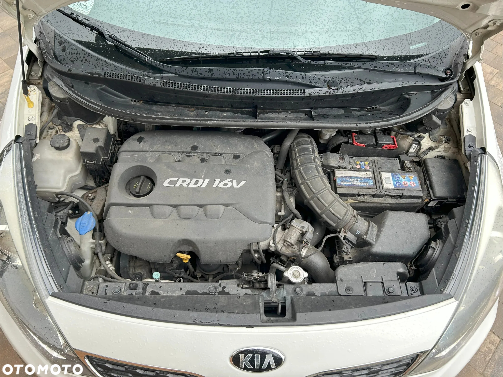 Kia Rio 1.4 crdi XL - 15